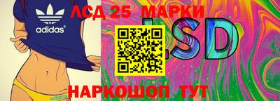 PSILOCYBIN Апшеронск